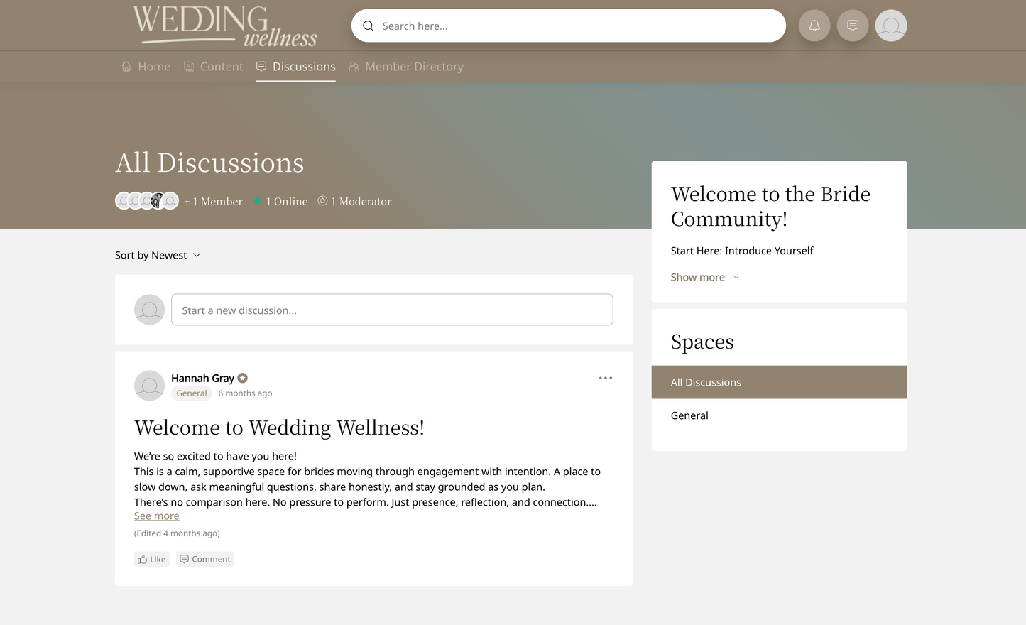 Wedding Wellness I Craft Your Wedding With Clarity Course